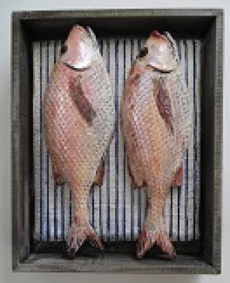 Fish Market Box - Red Snappers III - Diana Tonnison