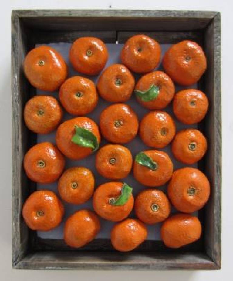 Fruit market box- Satsumas - Diana Tonnison