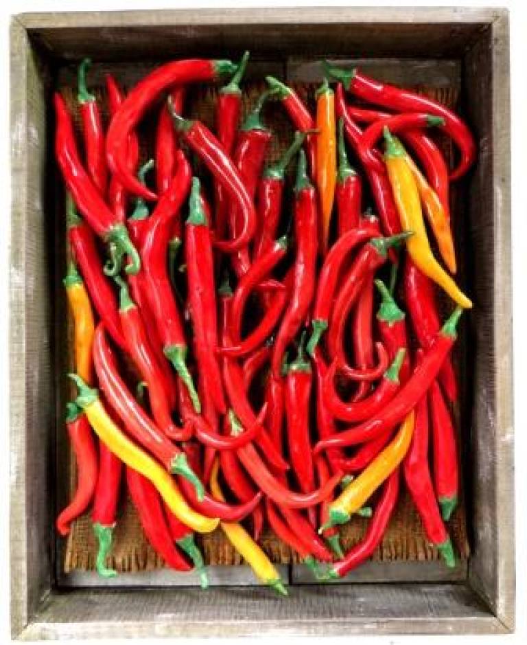 Veg market Box- red and yellow chillies - Diana Tonnison