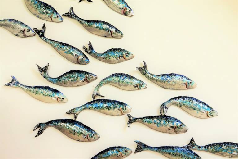 Fish for wall display - Diana Tonnison