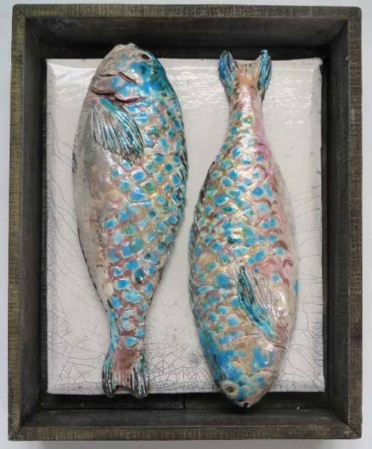 Fish Market Box - Parrot fish - Diana Tonnison