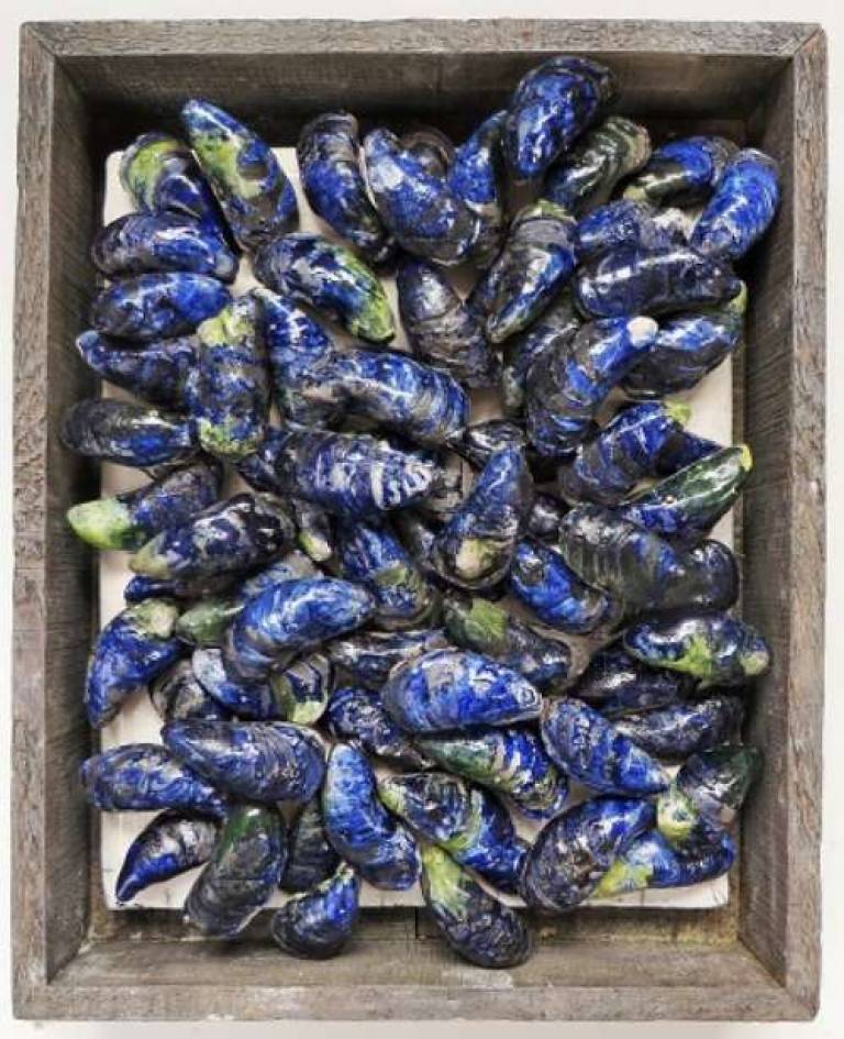 Fish Market Box - Mussels II - Diana Tonnison