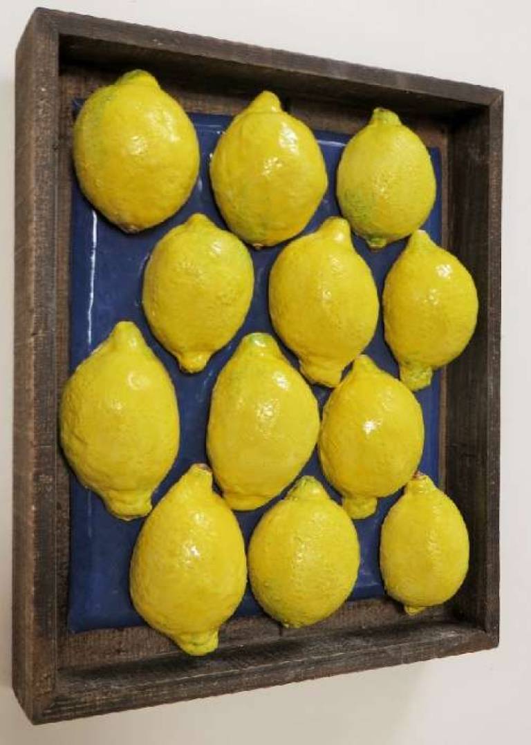 Fruit Market box - Dozen Lemons III - Diana Tonnison