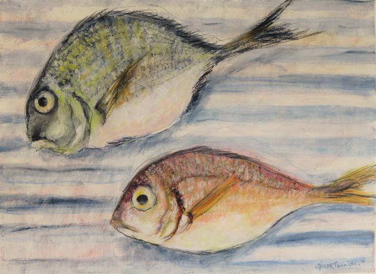 Two Little Pajel Fish (Seabream) - Diana Tonnison
