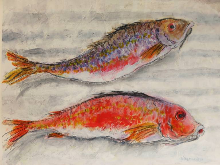 Two Salmonete Fish (Red Mullets) - Diana Tonnison