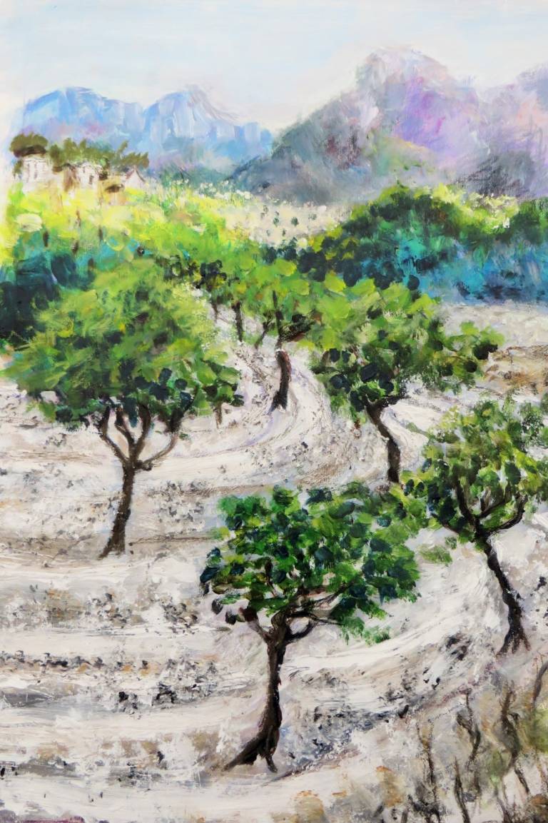 Almond Trees Son Bunyola, Mallorca - Diana Tonnison