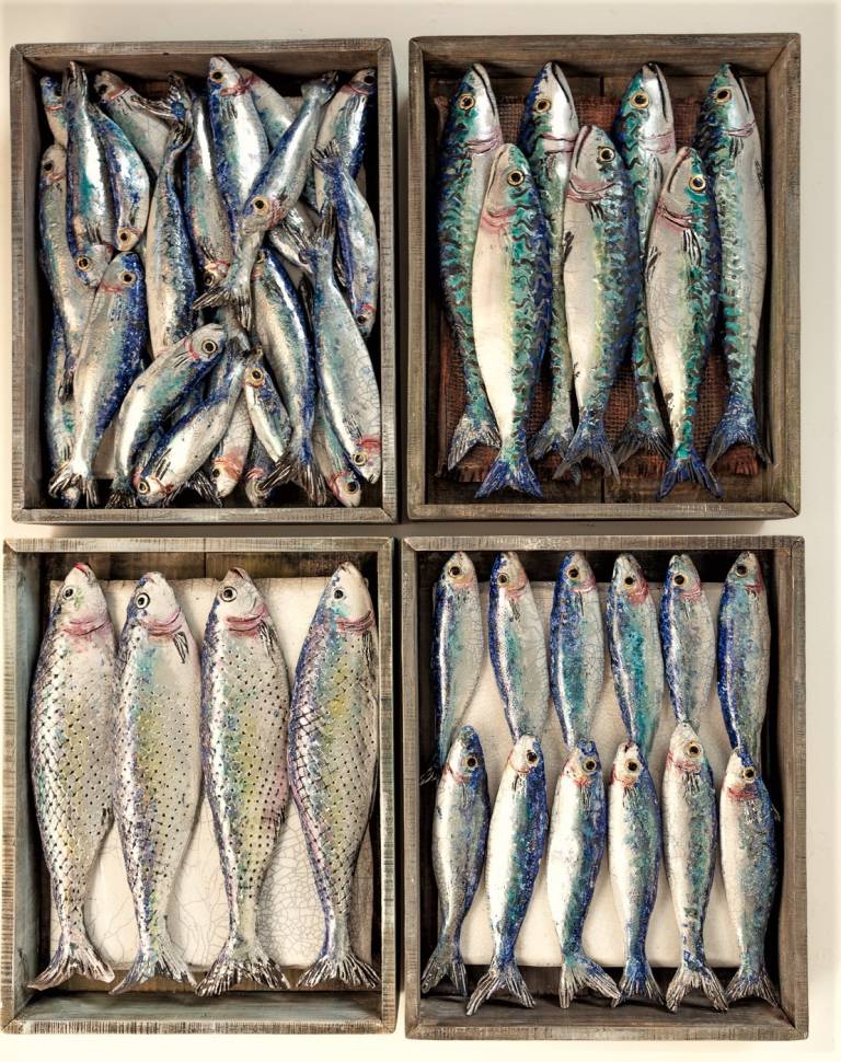 Collection of Fish Market Boxes (4) - Diana Tonnison