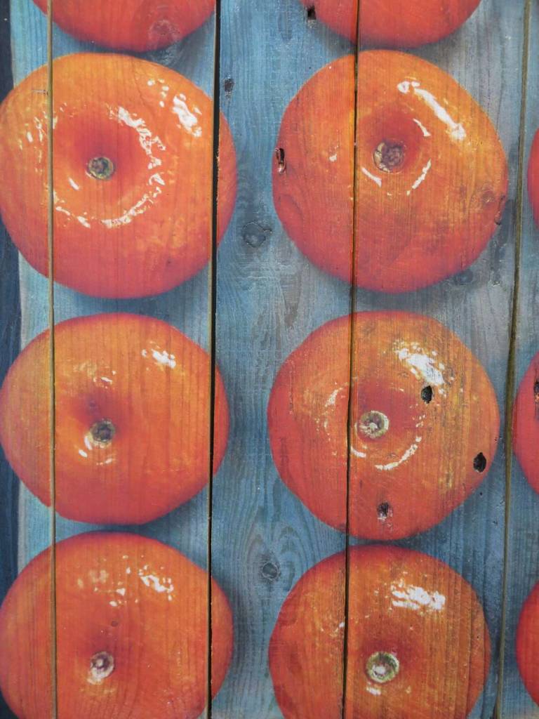 Wood panel  - Dozen Clementines DTW22 - Diana Tonnison