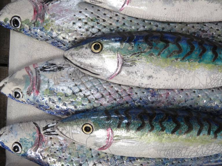 Fish Market Box - Herrings and Mackerel - Diana Tonnison