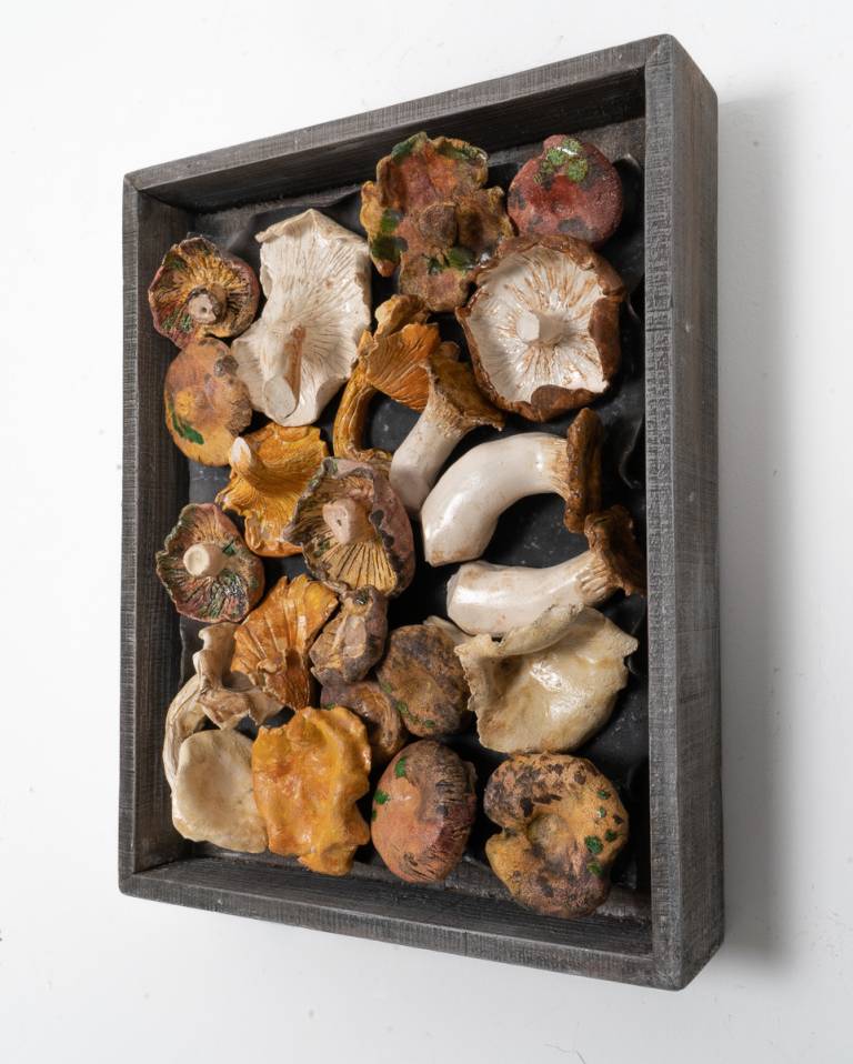 Veg Market Box  -Mushrooms IV - Diana Tonnison