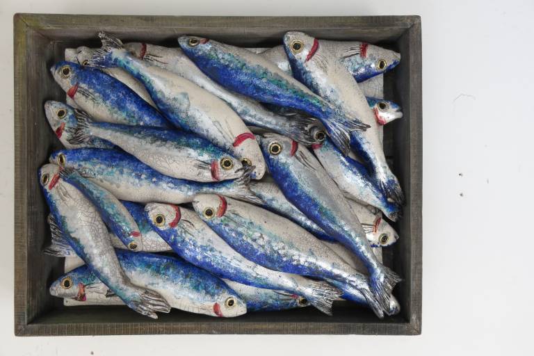 Fish Market Box - Mediterranean Sardines VII - Diana Tonnison