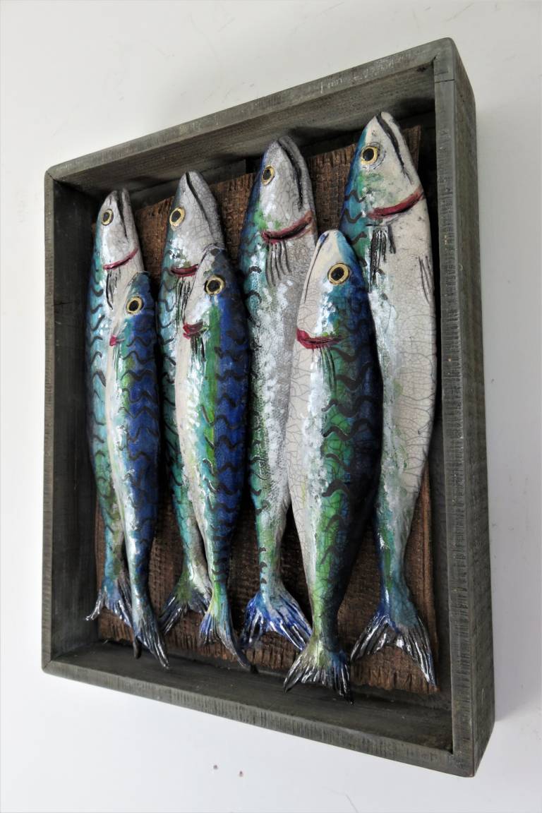 Fish Market Box - Cornish Mackerel XVI - Diana Tonnison