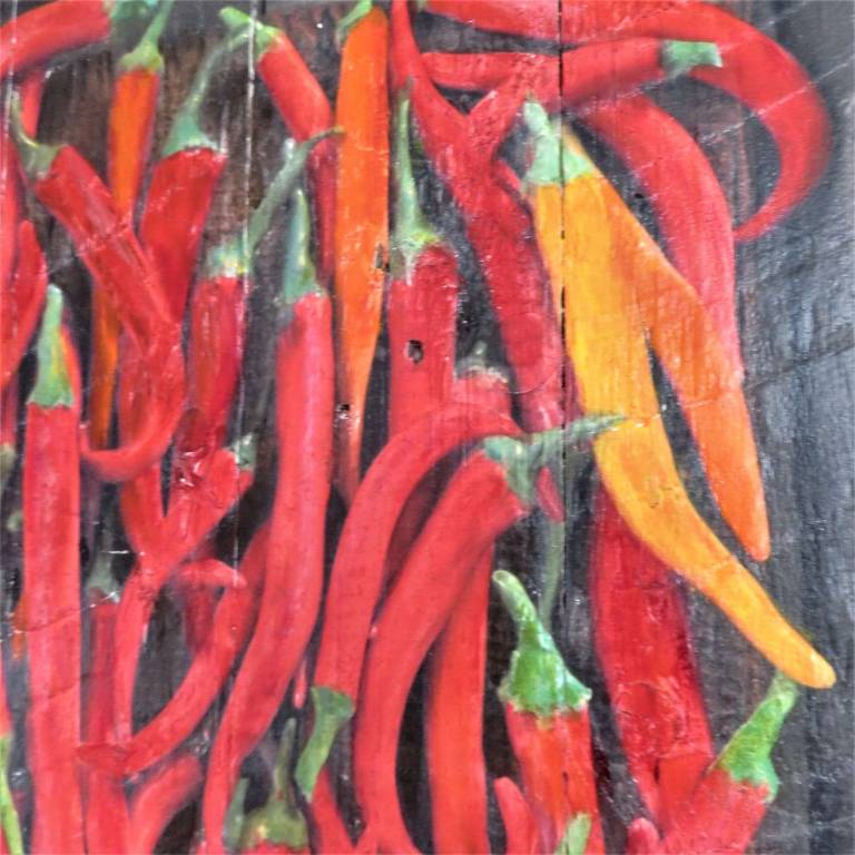 Wood Panel Chillies DTW19 - Diana Tonnison