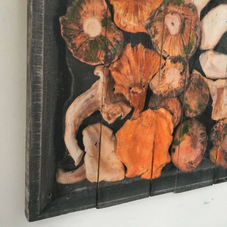 Wood Panel - Wild Mushrooms DTW33 - Diana Tonnison