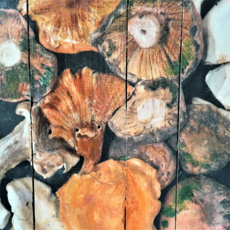 Wood Panel - Wild Mushrooms DTW33 - Diana Tonnison
