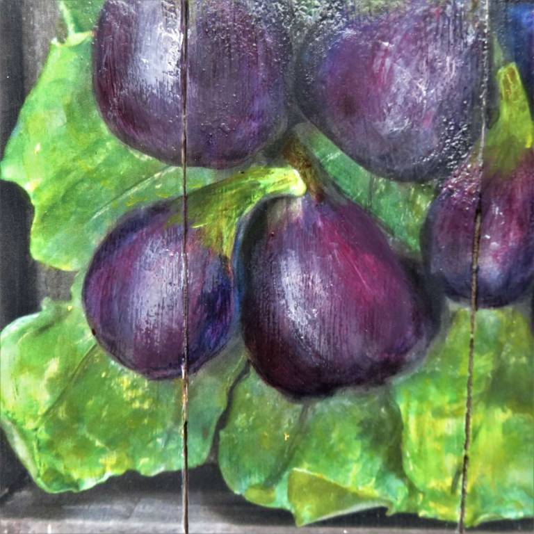 Wood panel - Figs II  DTW35 - Diana Tonnison