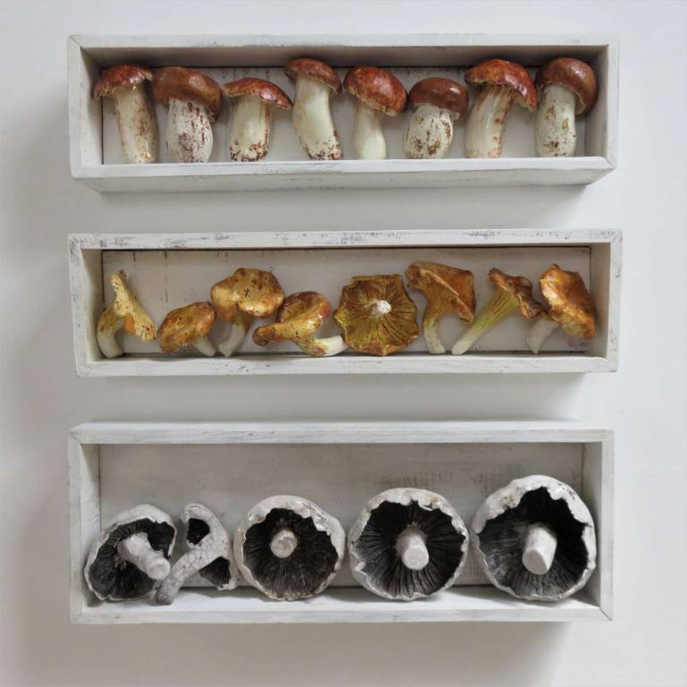 The Pantry - Boletus Edilus Mushrooms - Diana Tonnison