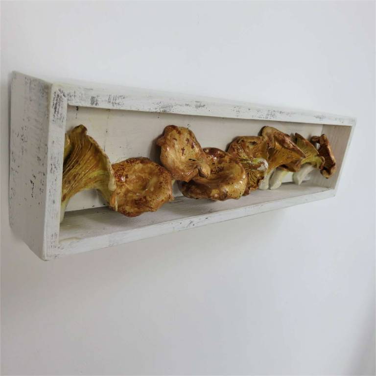 The Pantry - Chanterelle Mushrooms - Diana Tonnison