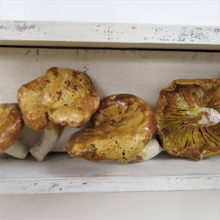 The Pantry - Chanterelle Mushrooms - Diana Tonnison