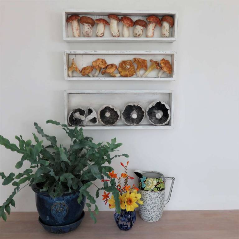 The Pantry - Chanterelle Mushrooms - Diana Tonnison