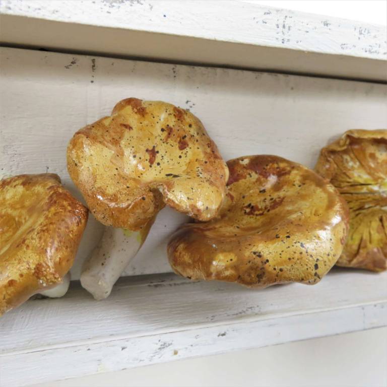 The Pantry - Chanterelle Mushrooms - Diana Tonnison