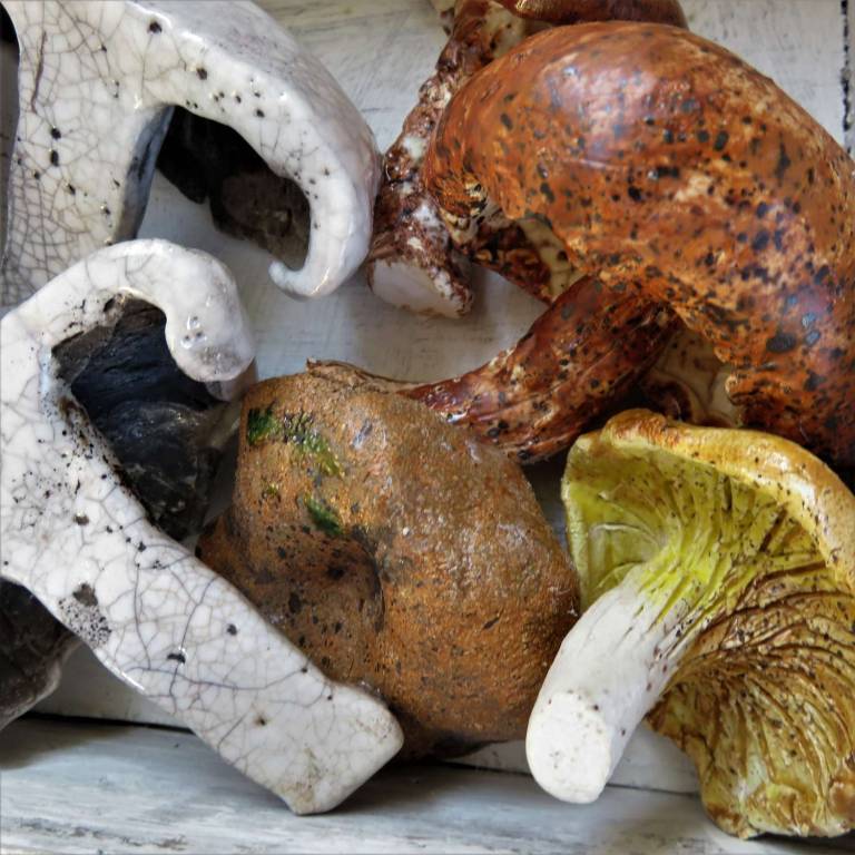 The Pantry - Mixed Fungi - Diana Tonnison
