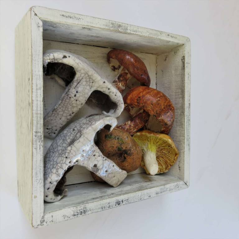 The Pantry - Mixed Fungi - Diana Tonnison