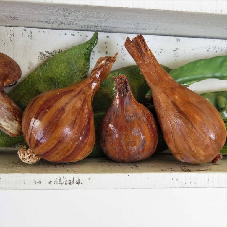The Pantry - Sweetcorn and Shallots - Diana Tonnison