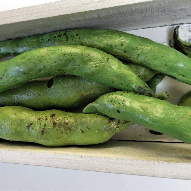 The Pantry -  Broad Beans - Diana Tonnison