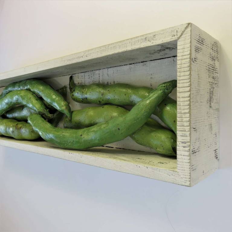 The Pantry -  Broad Beans - Diana Tonnison