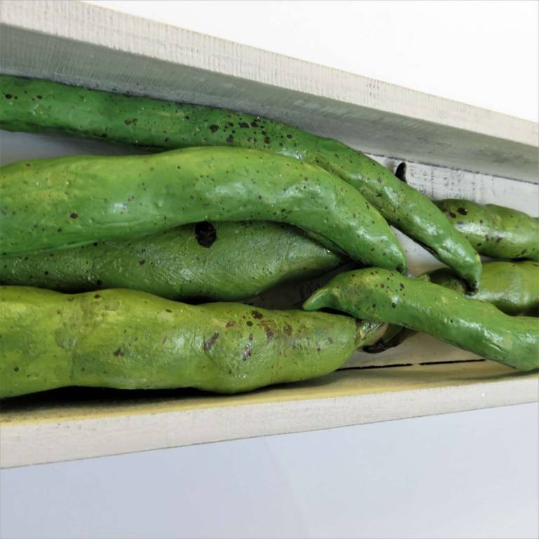 The Pantry -  Broad Beans - Diana Tonnison