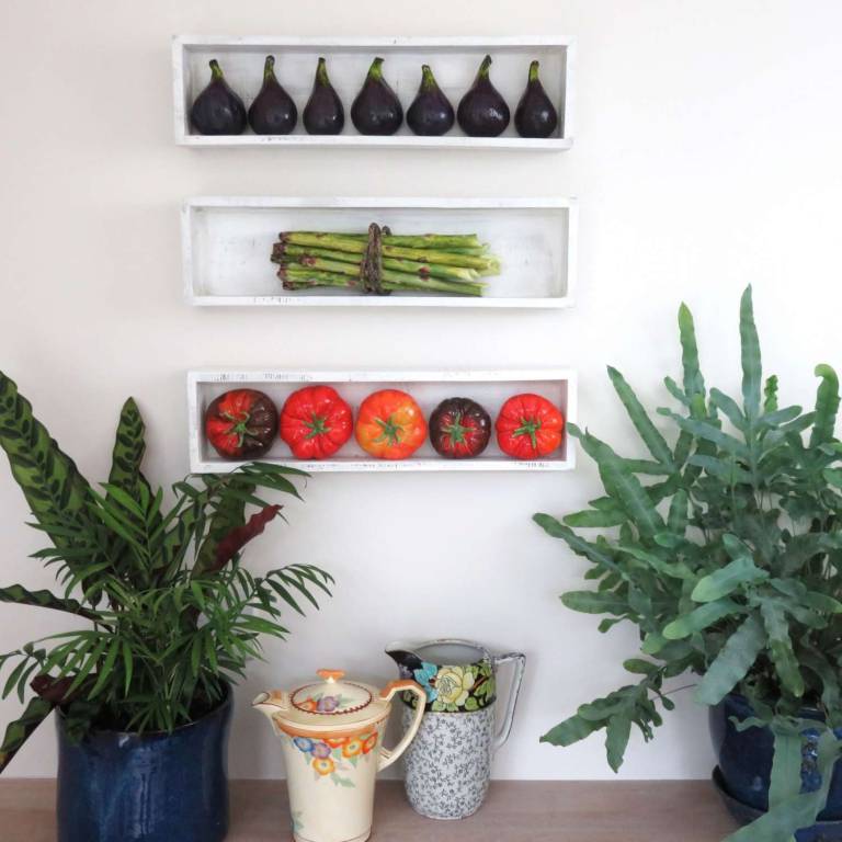 The Pantry - Marmande Tomatoes II - Diana Tonnison