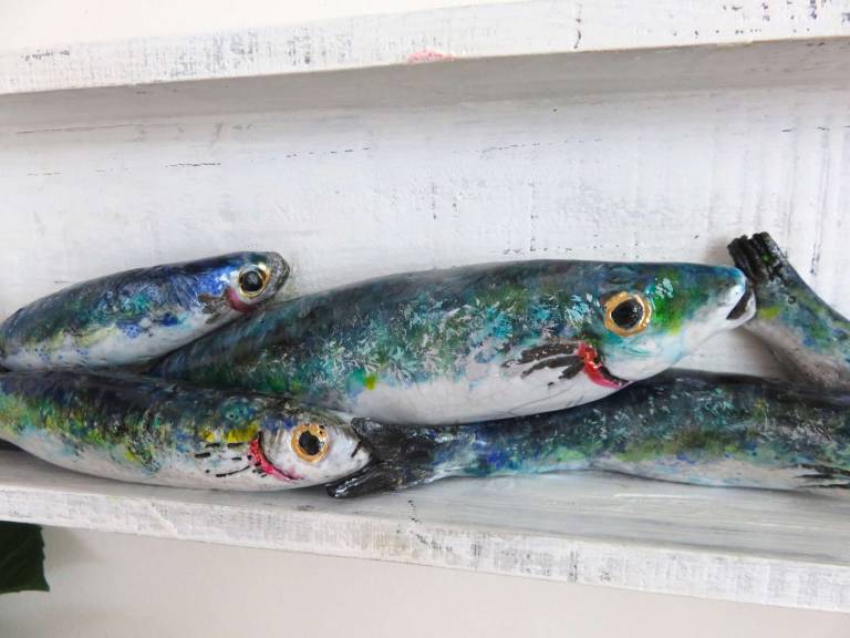 The Pantry - The Day's Catch'- Seven fish - Diana Tonnison