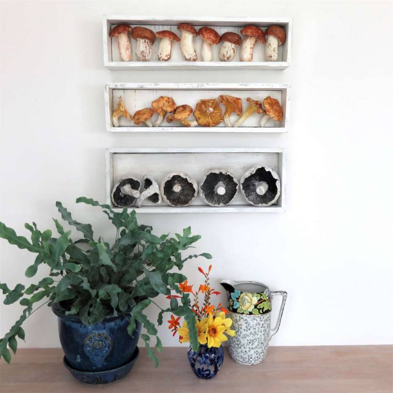 The Pantry - Boletus Edilus Mushrooms II - Diana Tonnison