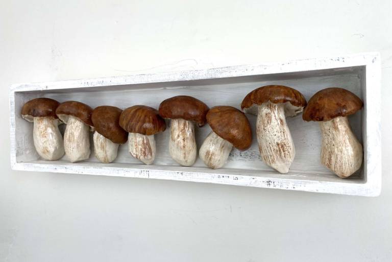 The Pantry - Boletus Edilus Mushrooms II - Diana Tonnison