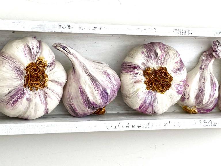 The Pantry - Garlic II - Diana Tonnison