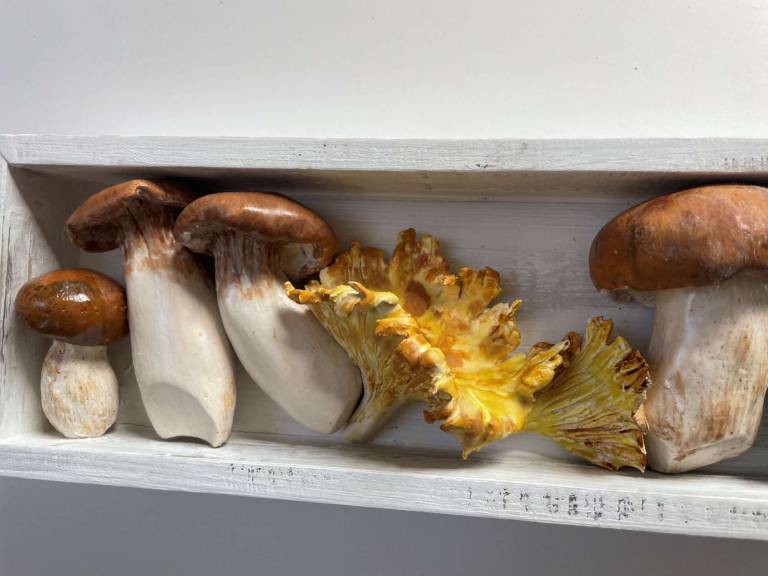 The Pantry - Mushroom Selection II - Diana Tonnison