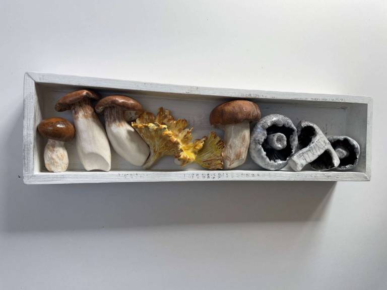 The Pantry - Mushroom Selection II - Diana Tonnison