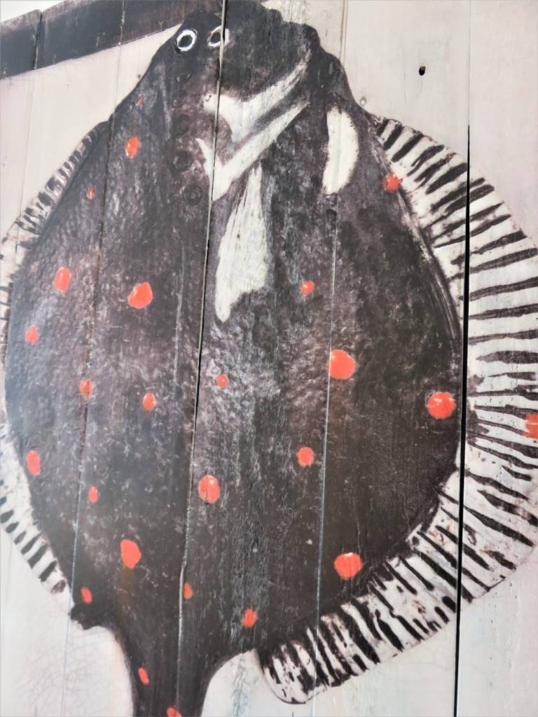 Wood panel print - Plaice DTW26 - Diana Tonnison
