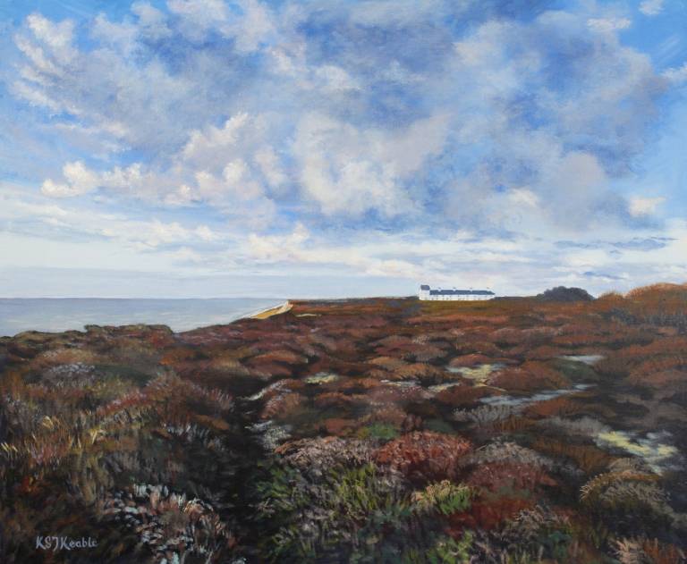The Coastal Garden - Karen Sarah Johnston Keable