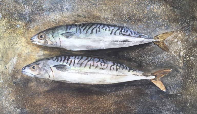 Mackerel - Alexandra Leadbeater