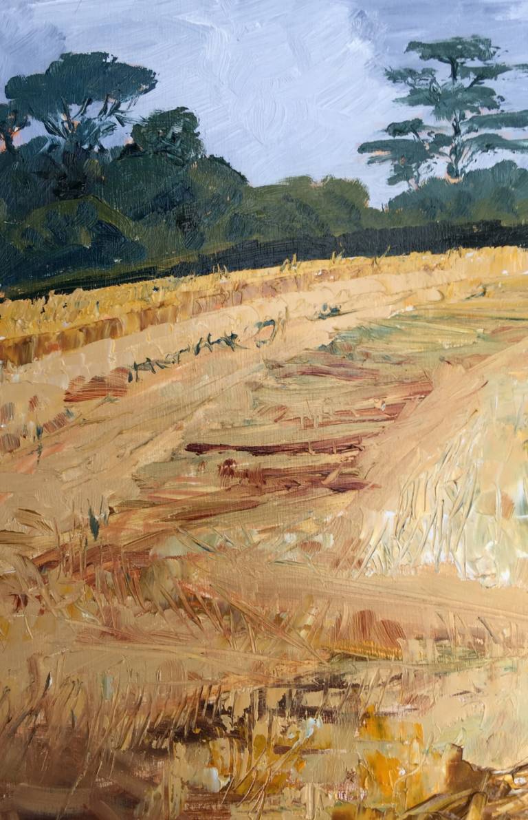 Wheat Field, Grey Sky - Sarah Wimperis