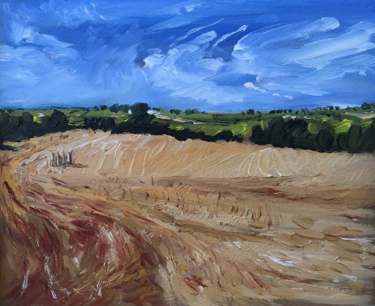 Wheat Field, Blue Sky - Sarah Wimperis