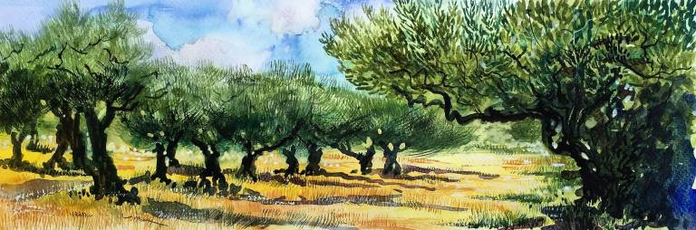 Deep Shadows in the Olive Groves - Sarah Wimperis