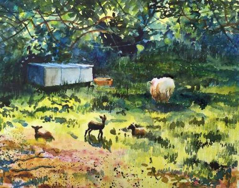 Spring Lambs - Sarah Wimperis