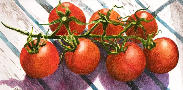 Cherry tomatoes - Sarah Wimperis