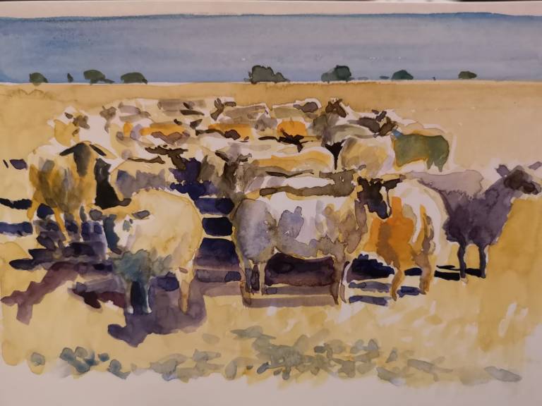 Hot Sheep in the Charente - Sarah Wimperis
