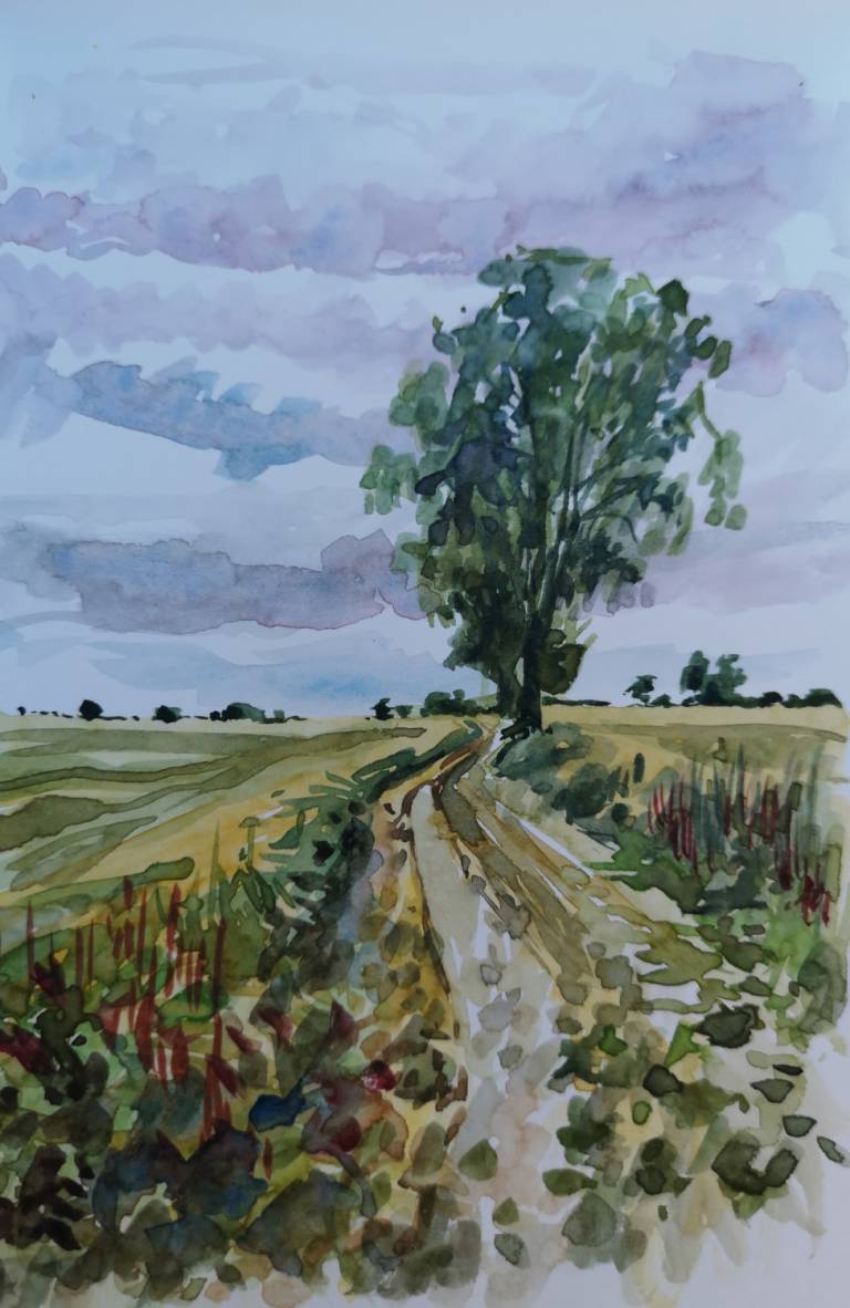 Lane through a Field - Sarah Wimperis