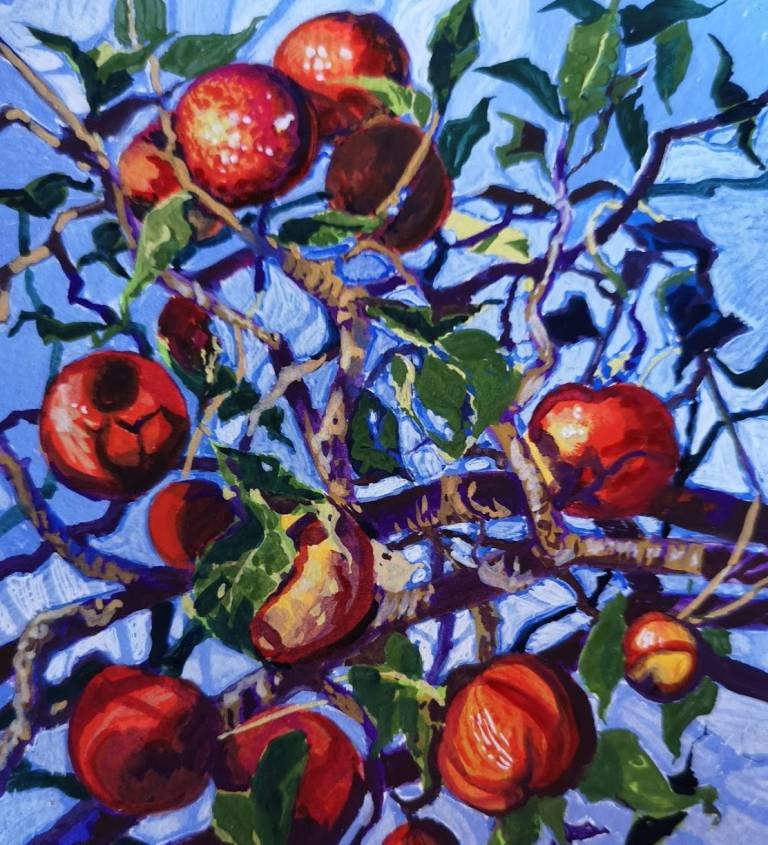 Apples - Sarah Wimperis