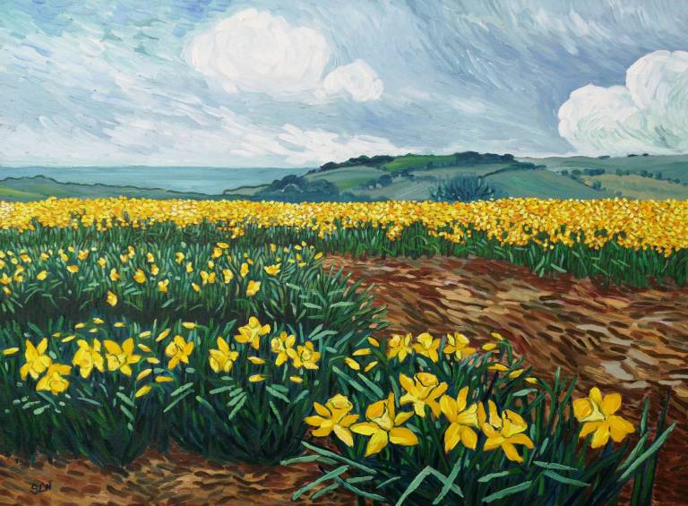 Daffodils - Sarah Wimperis